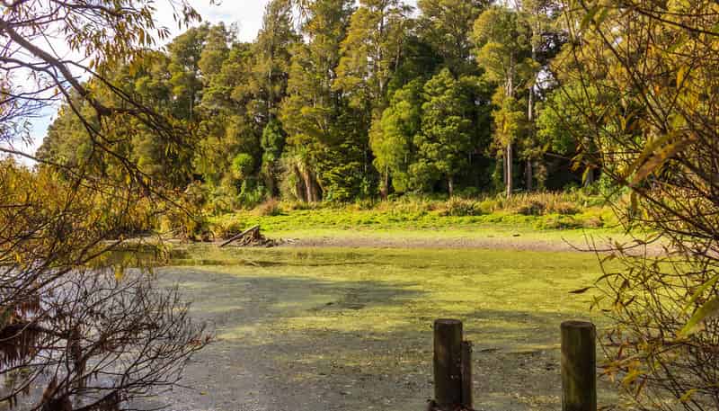 549 Waihakeke rd, Carterton