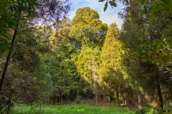 549 Waihakeke rd, Carterton