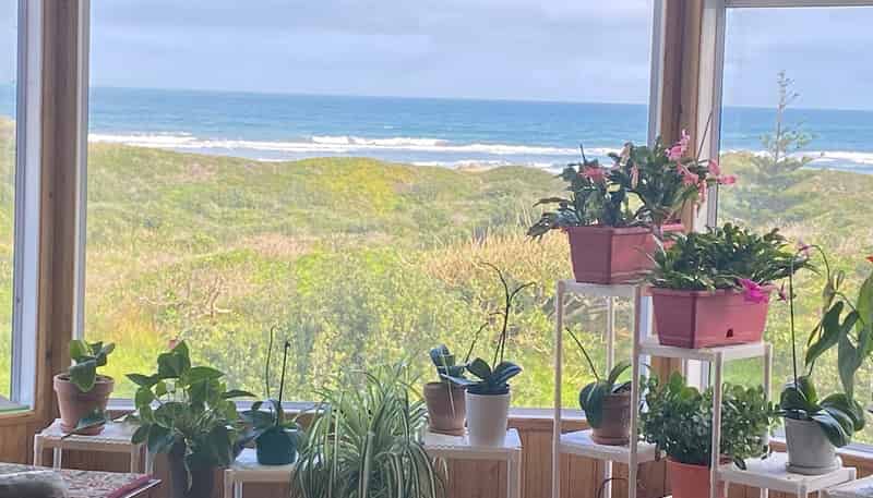 2/512D West Coast Road, 