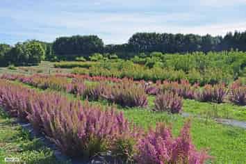 74 Okahukura Road, Tapora