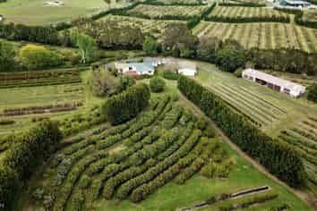 74 Okahukura Road, Tapora