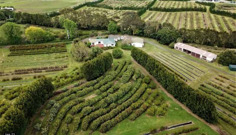 74 Okahukura Road, Tapora