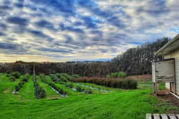 74 Okahukura Road, Tapora