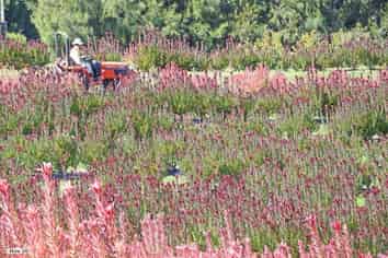 74 Okahukura Road, Tapora