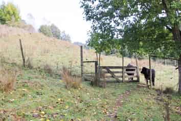 2552A Kauarapaoa Road, Brunswick