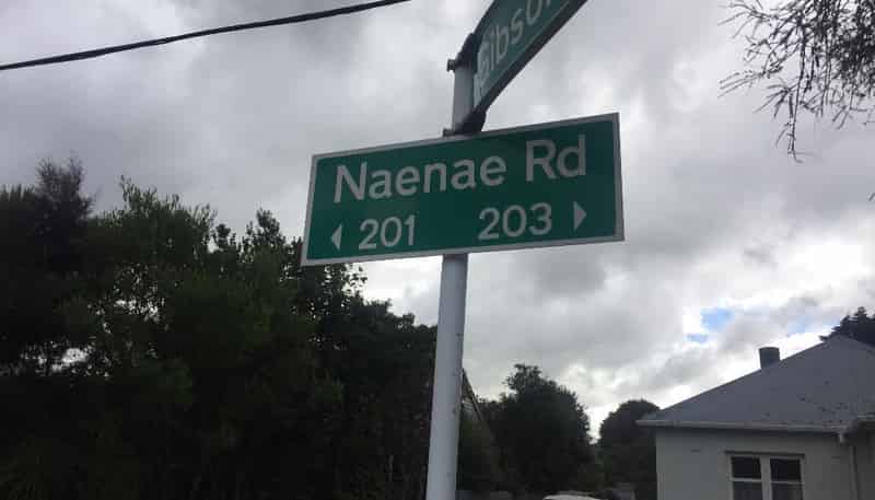 223 Naenae Road, Naenae