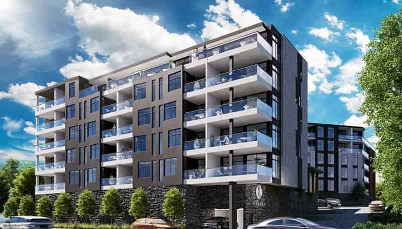 H215/41 Gillies Avenue, Newmarket