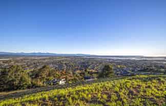 Lot 1 Top of Hillplough Heights, Richmond