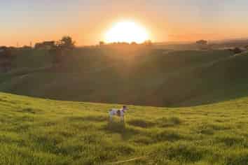 Lot 1 Finnis Road, Feilding