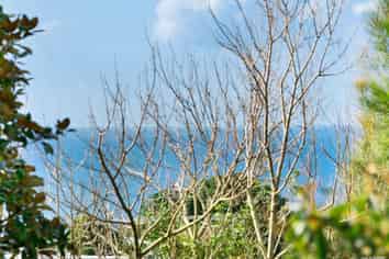 1221a Whangaparaoa Road, Army Bay