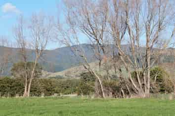 211A Muhunoa East Road, Ohau