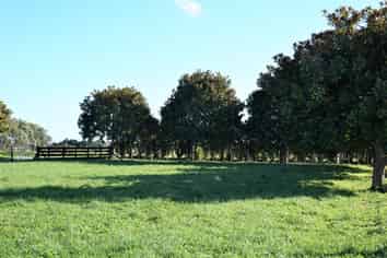 211A Muhunoa East Road, Ohau