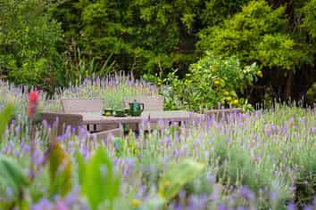 42A Brooke Lane, Mangawhai