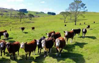 Lot 2 Babylon Coast Road, 