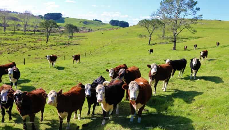 Lot 2 Babylon Coast Road, 