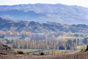 88 Conroys Road, Alexandra