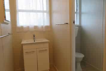 A/409 Ensor Street, Thames