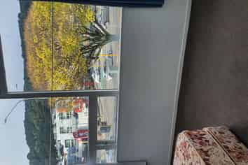 2/59 Cambridge Terrace, Wellington Central