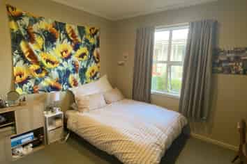 29 Carlyle Street, North East Valley