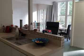 4A Airedale Street, Dunedin Central