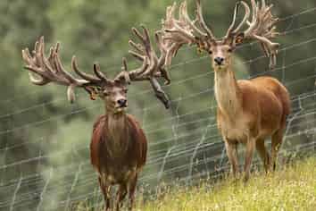 860 McHenrys Road, Hakataramea