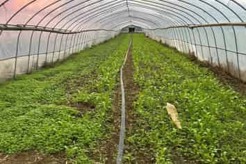 250 Glenbrook Waiuku Road, Glenbrook