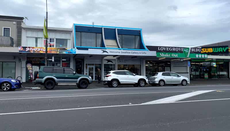 380 Grey Street, Hamilton East, Hamilton East