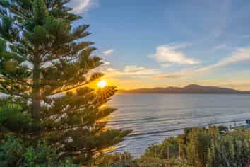 107 Rosetta Road, Raumati South