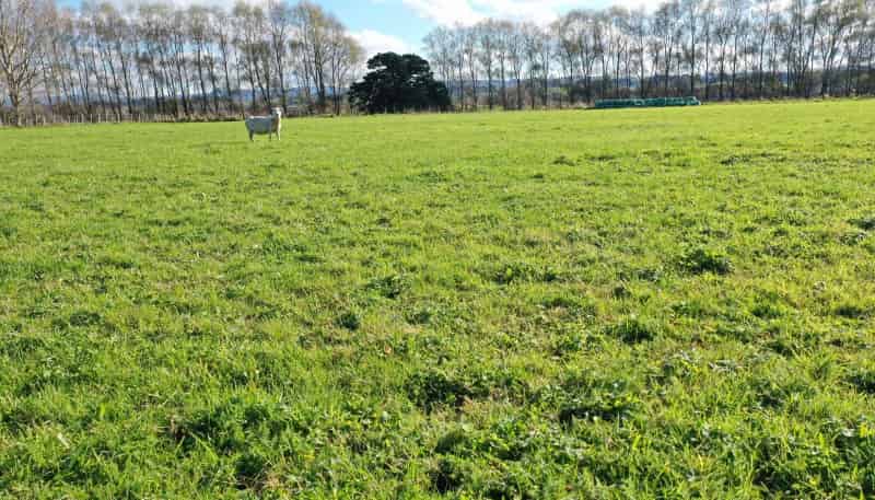 1 Halls Road, Pahiatua