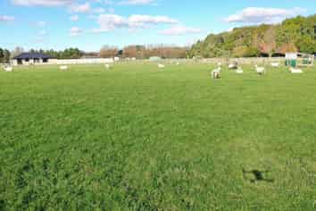 1 Halls Road, Pahiatua