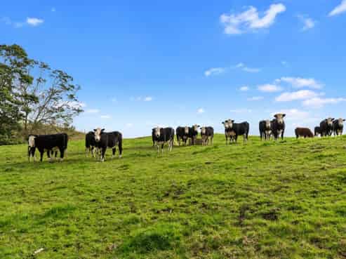 614A Springhill Road, Meremere