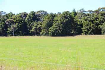 16 Newton Road, Kaipara Flats