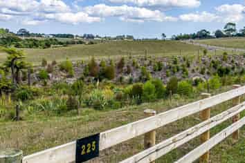 225 Blackbridge Road, Karaka