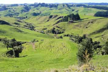 282 Rimutauteka Road, Inglewood