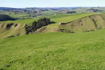 282 Rimutauteka Road, Inglewood