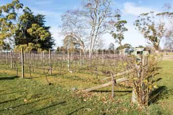 2318 Lot 1 State Highway 50, Waipawa