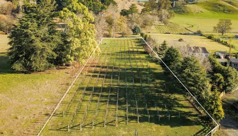 2318 Lot 1 State Highway 50, Waipawa