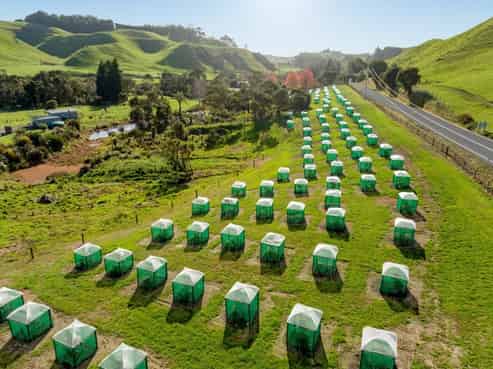 588 Roydon Downs Road, Paengaroa