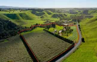 588 Roydon Downs Road, Paengaroa