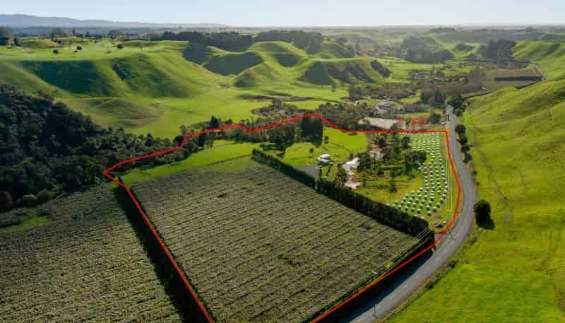 588 Roydon Downs Road, Paengaroa