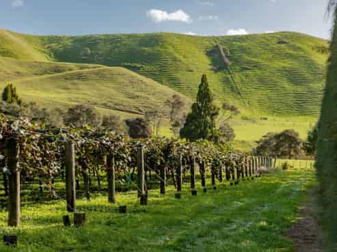 588 Roydon Downs Road, Paengaroa