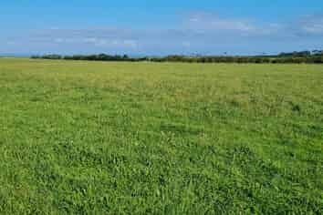 .. South Road, Opunake