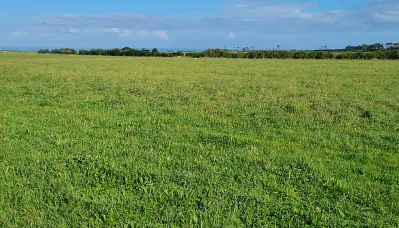 .. South Road, Opunake