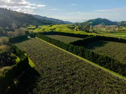 1987 State Highway 2 East, Nukuhou, 