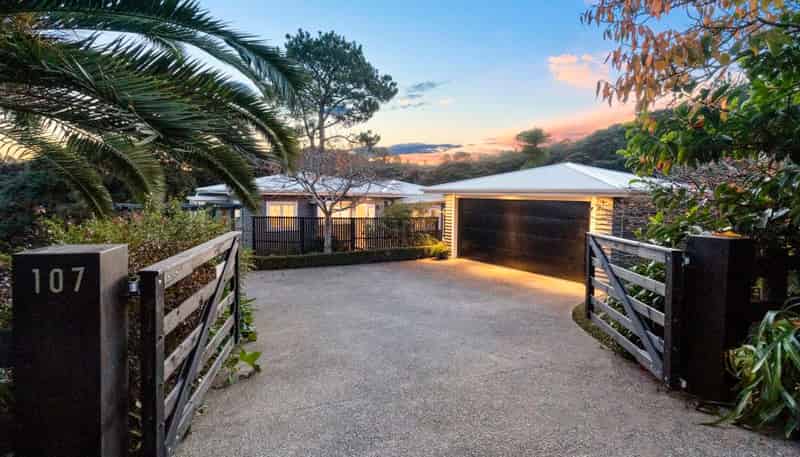 107 Elmore Road, Albany