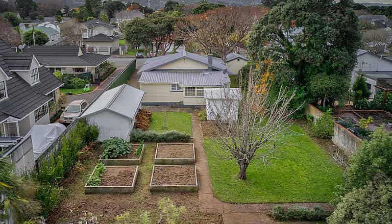 8 Nikau Grove, Woburn