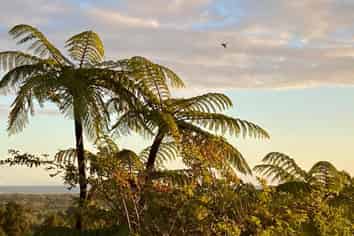 4456D Karamea Highway, Karamea