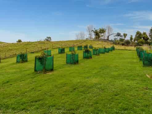 107 Plummer Road, Whakamarama