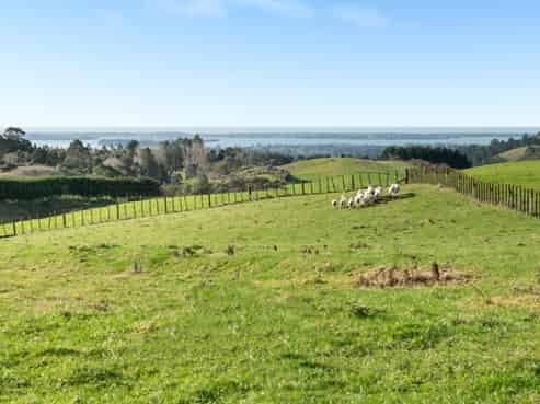 50B Goodall Road, Whakamarama