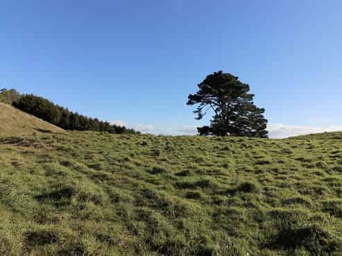 104 Highland Drive, Acacia Bay